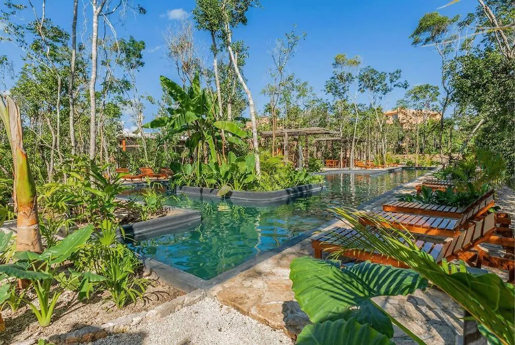 Savia Oasis Tranquil Escape Apartment Tulum Mexico